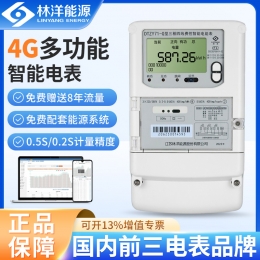 林洋4G三相电表